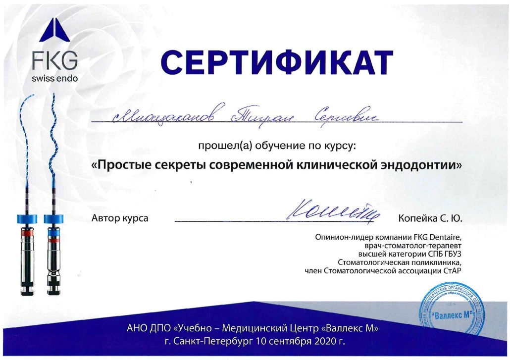 Сертификат доп образования Мнацаканова Т.С.